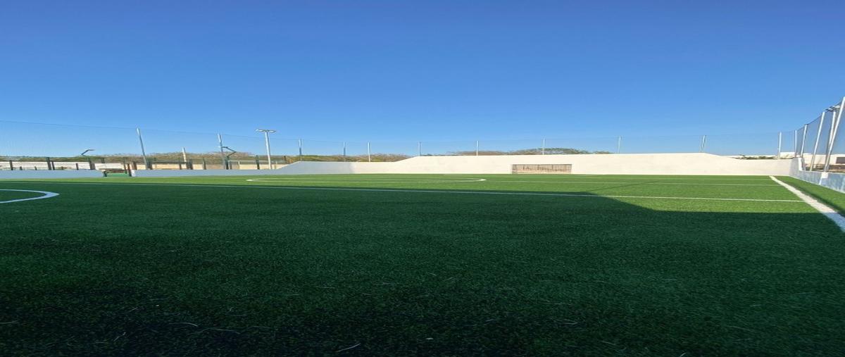 Foto de terreno habitacional en venta en  , tamanché, mérida, yucatán, 0 No. 04