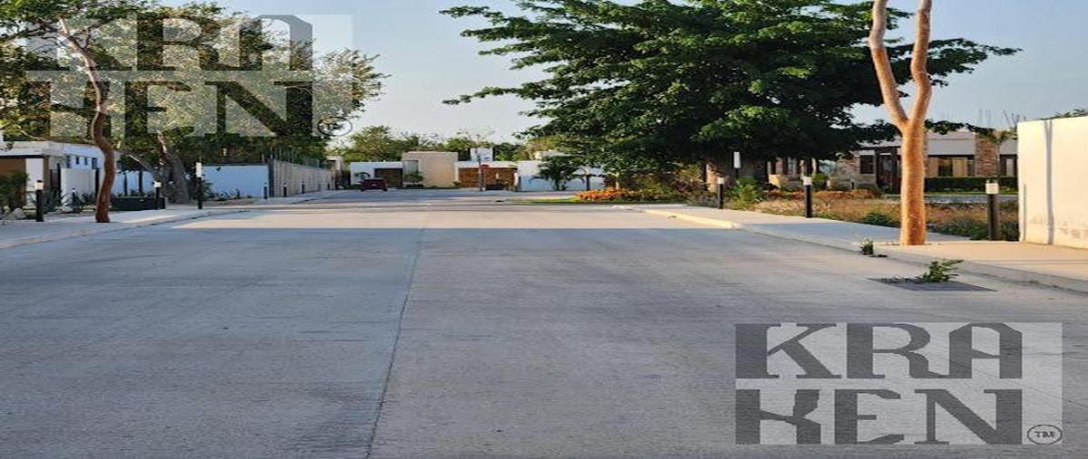 Foto de terreno habitacional en venta en  , tamanché, mérida, yucatán, 30065124 No. 03