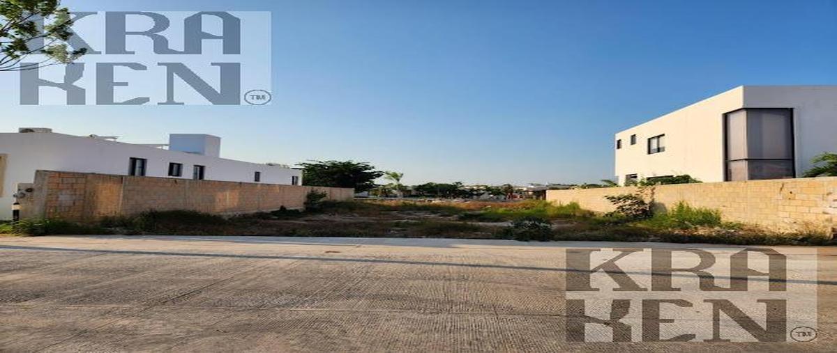 Foto de terreno habitacional en venta en  , tamanché, mérida, yucatán, 30065124 No. 04