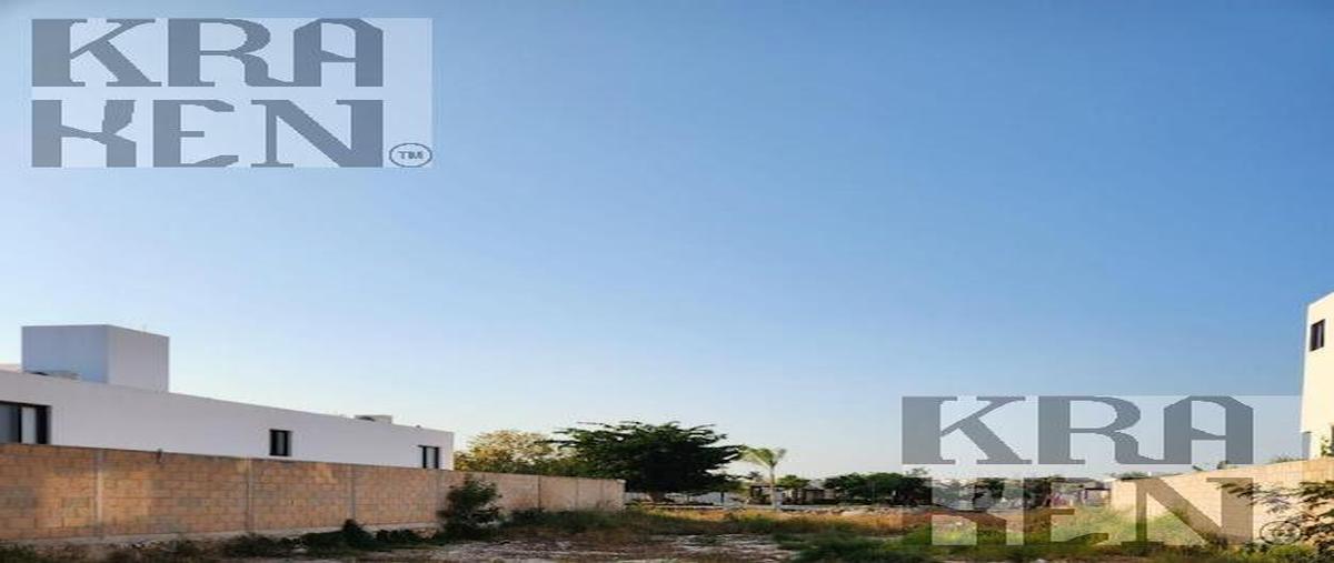 Foto de terreno habitacional en venta en  , tamanché, mérida, yucatán, 30065124 No. 05