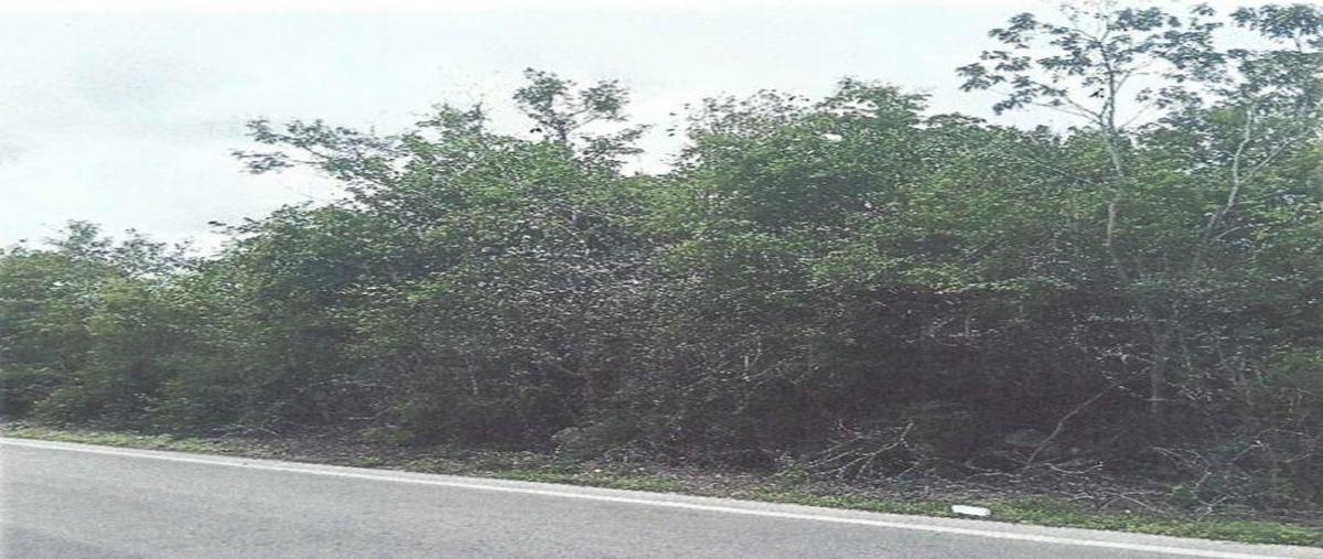 Foto de terreno habitacional en venta en  , tamanché, mérida, yucatán, 30147629 No. 03