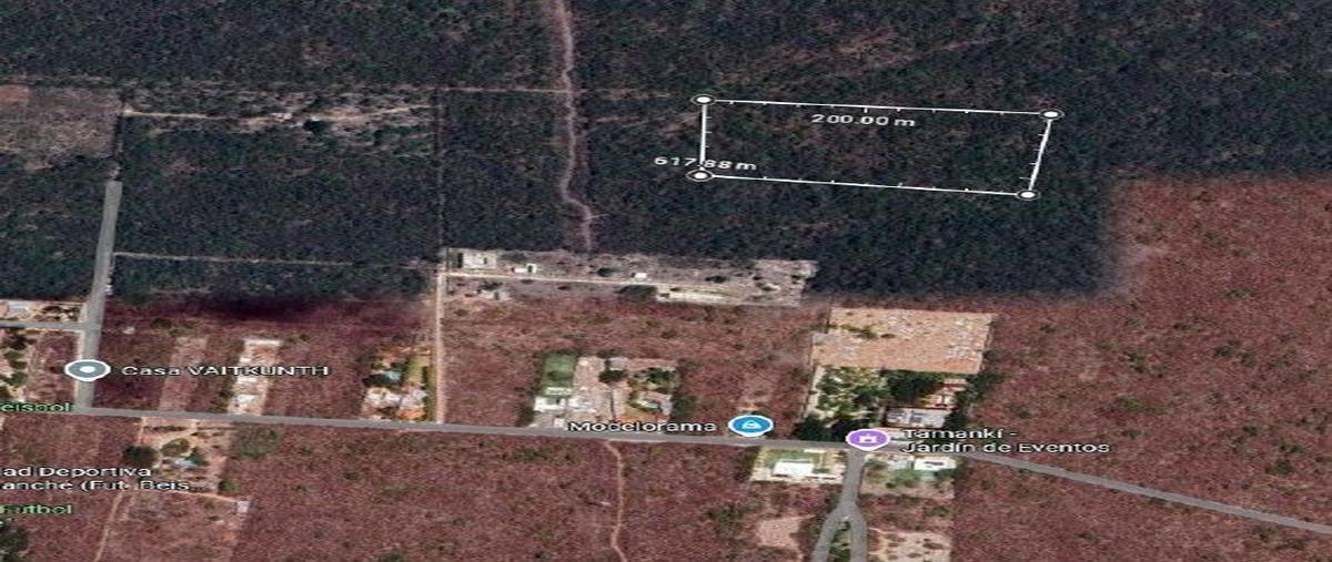 Foto de terreno habitacional en venta en  , tamanché, mérida, yucatán, 30159936 No. 03