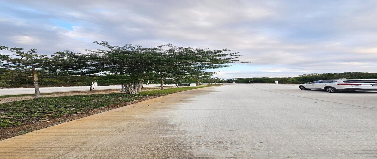 Foto de terreno habitacional en venta en  , tamanché, mérida, yucatán, 0 No. 04