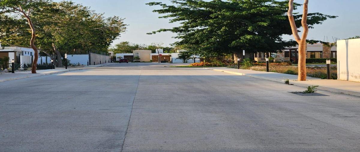 Foto de terreno habitacional en venta en  , tamanché, mérida, yucatán, 0 No. 04