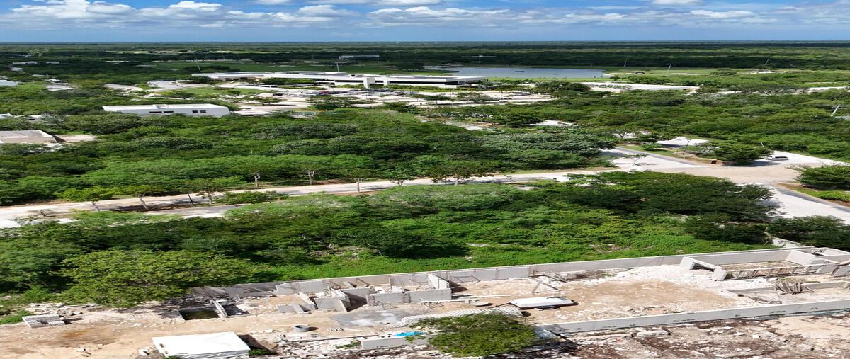 Foto de terreno habitacional en , tamanché, mérida, yucatán, 0 foto 04 Foto de terreno habitacional en venta en , tamanché, mérida, yucatán, 0 No. 04