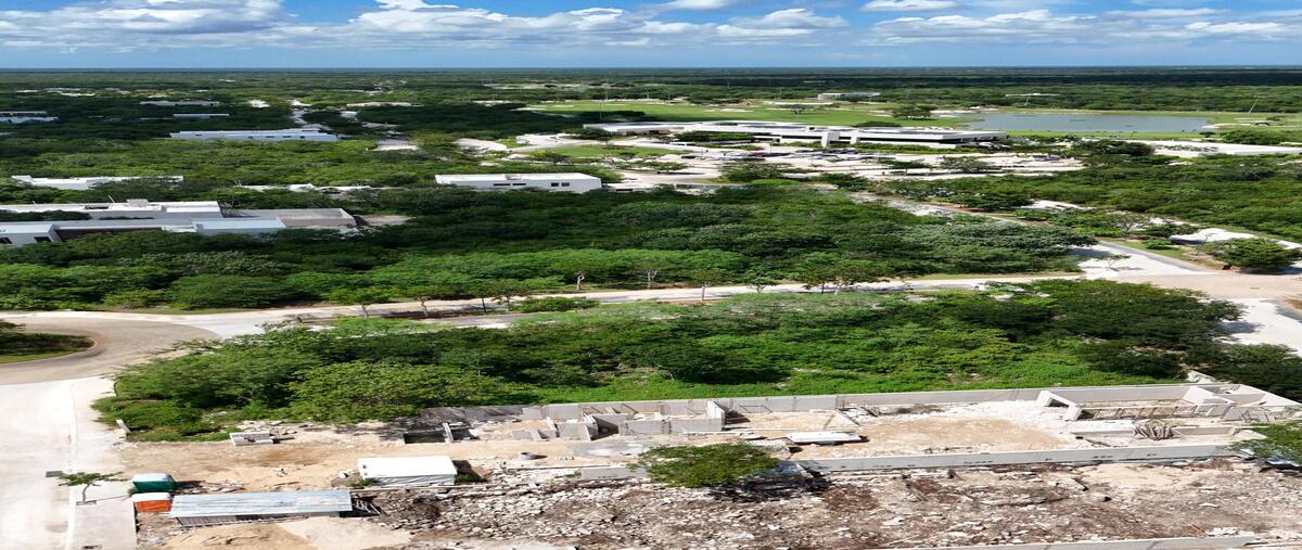 Foto de terreno habitacional en , tamanché, mérida, yucatán, 0 foto 05 Foto de terreno habitacional en venta en , tamanché, mérida, yucatán, 0 No. 05