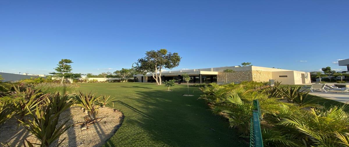Foto de terreno habitacional en venta en  , tamanché, mérida, yucatán, 0 No. 03