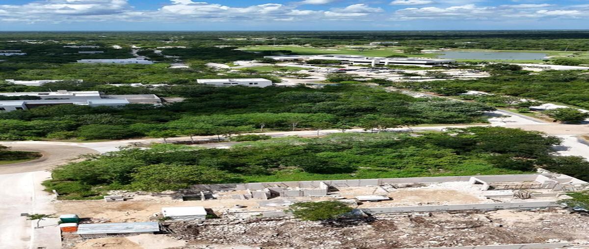 Foto de terreno habitacional en venta en  , tamanché, mérida, yucatán, 30526066 No. 03