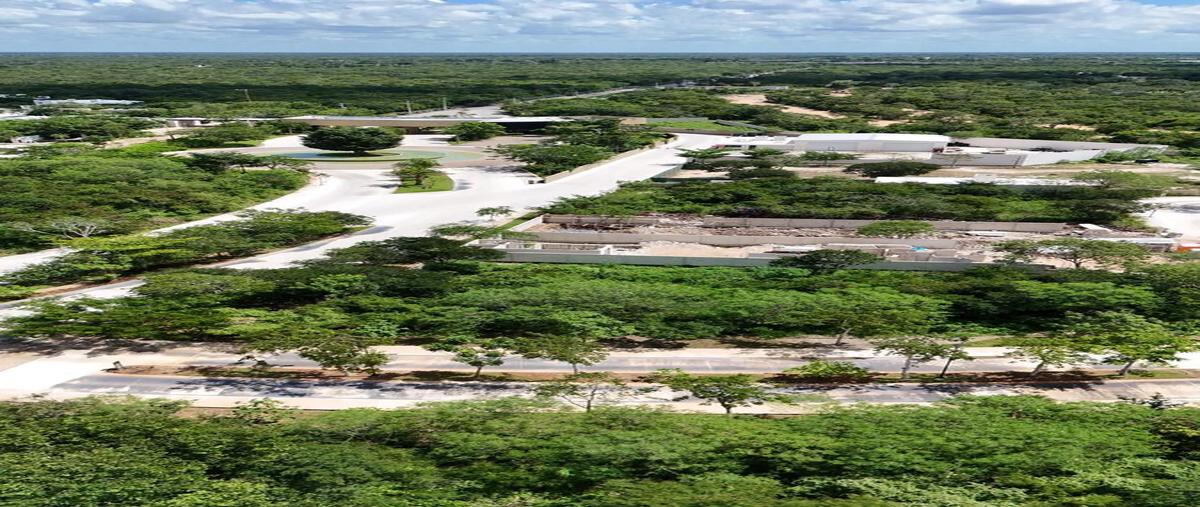 Foto de terreno habitacional en venta en  , tamanché, mérida, yucatán, 30526066 No. 04