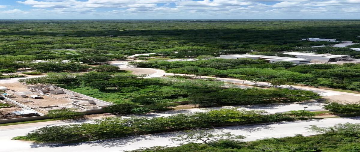 Foto de terreno habitacional en venta en  , tamanché, mérida, yucatán, 30526066 No. 05