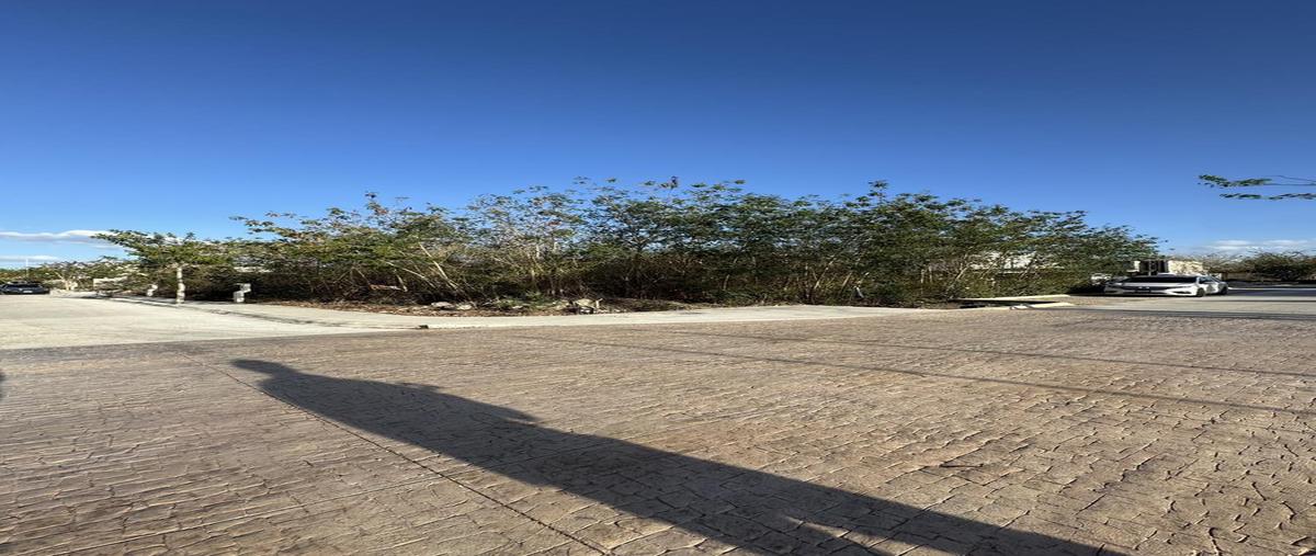 Foto de terreno habitacional en venta en  , tamanché, mérida, yucatán, 30526070 No. 03