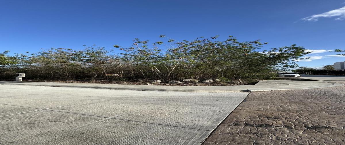 Foto de terreno habitacional en venta en  , tamanché, mérida, yucatán, 30526070 No. 04