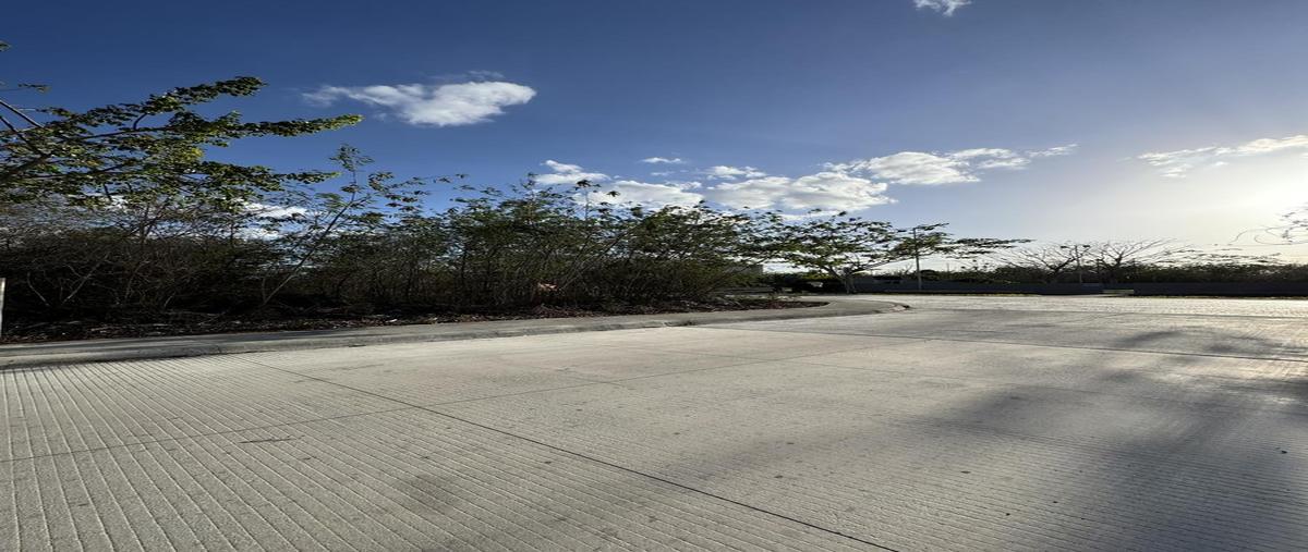 Foto de terreno habitacional en venta en  , tamanché, mérida, yucatán, 30526070 No. 05