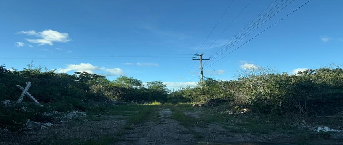 Foto de terreno habitacional en venta en  , tamanché, mérida, yucatán, 0 No. 04