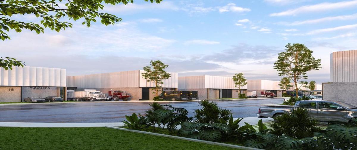 Foto de terreno habitacional en renta en  , tamanché, mérida, yucatán, 0 No. 04