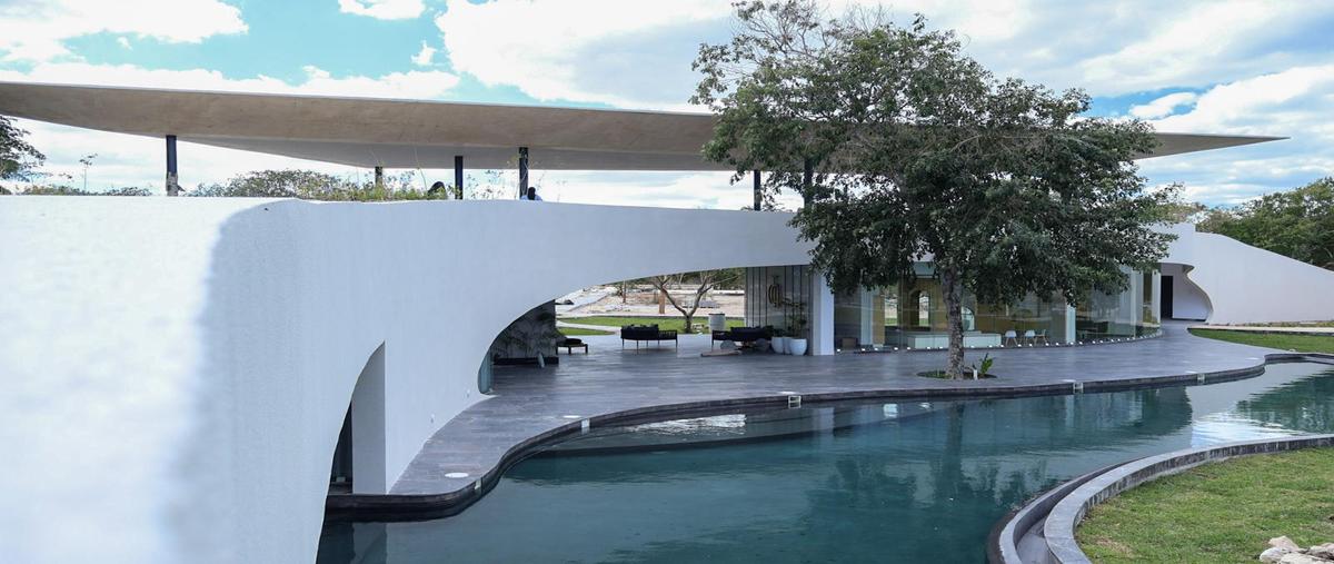 Foto de terreno habitacional en venta en  , tamanché, mérida, yucatán, 30644023 No. 04