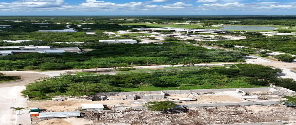 Foto de terreno habitacional en venta en  , tamanché, mérida, yucatán, 30710693 No. 03