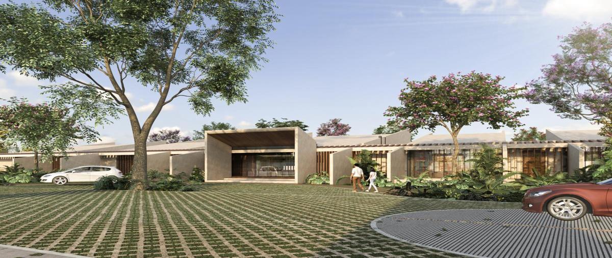 Foto de terreno habitacional en venta en  , tamanché, mérida, yucatán, 30710702 No. 04