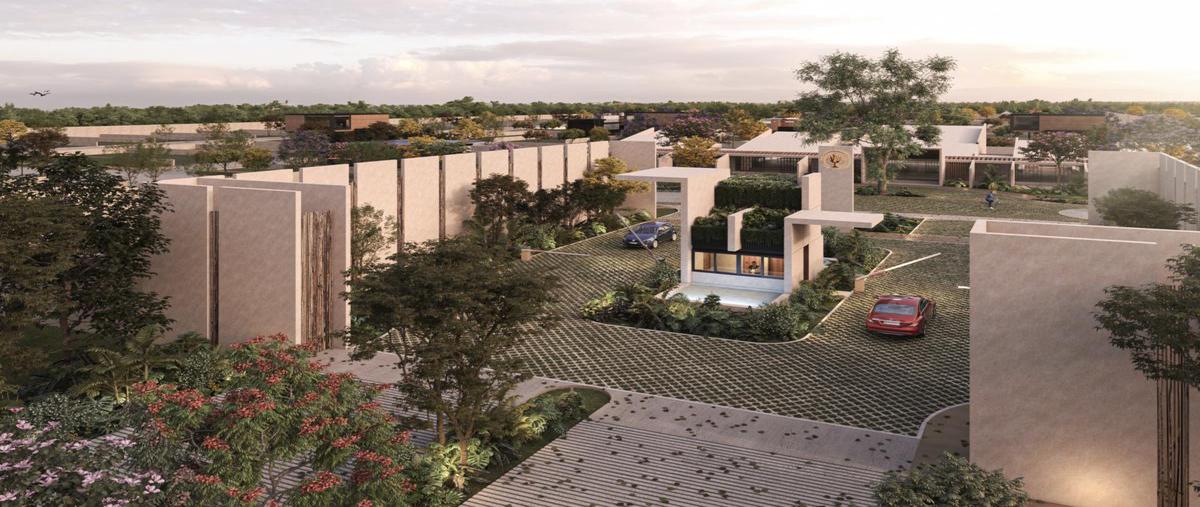 Foto de terreno habitacional en venta en  , tamanché, mérida, yucatán, 30710702 No. 05