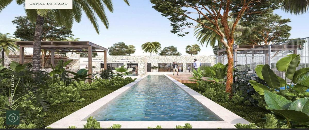 Foto de terreno habitacional en venta en  , tamanché, mérida, yucatán, 30710709 No. 04