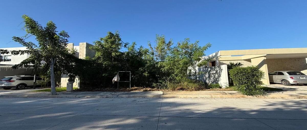 Foto de terreno habitacional en venta en  , tamanché, mérida, yucatán, 0 No. 03