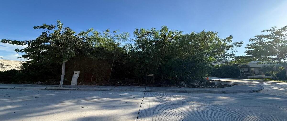 Foto de terreno habitacional en venta en  , tamanché, mérida, yucatán, 0 No. 04