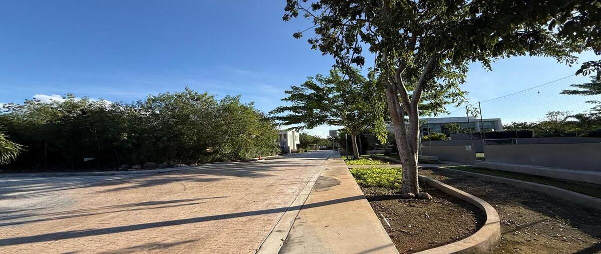 Foto de terreno habitacional en venta en  , tamanché, mérida, yucatán, 0 No. 05