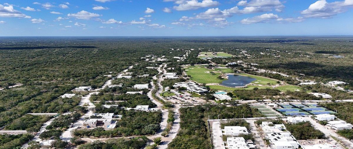 Foto de terreno habitacional en venta en  , tamanché, mérida, yucatán, 30881727 No. 04