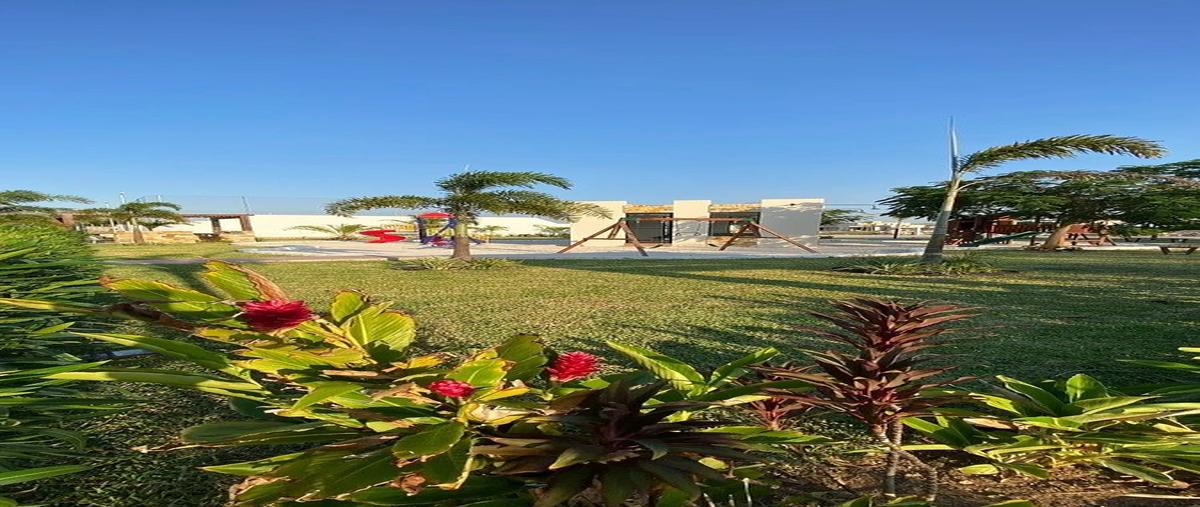 Foto de terreno habitacional en venta en  , tamanché, mérida, yucatán, 0 No. 03