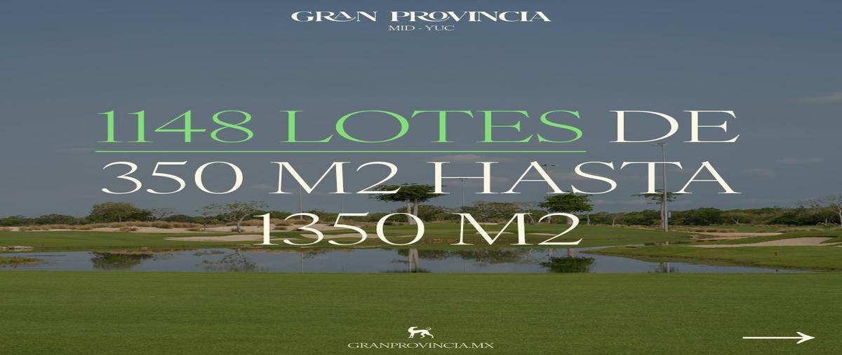 Foto de terreno habitacional en venta en  , tamanché, mérida, yucatán, 0 No. 03