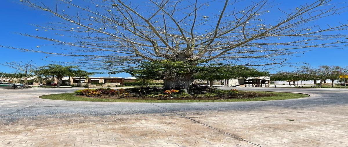Foto de terreno habitacional en , tamanché, mérida, yucatán, 0 foto 05 Foto de terreno habitacional en venta en , tamanché, mérida, yucatán, 0 No. 05