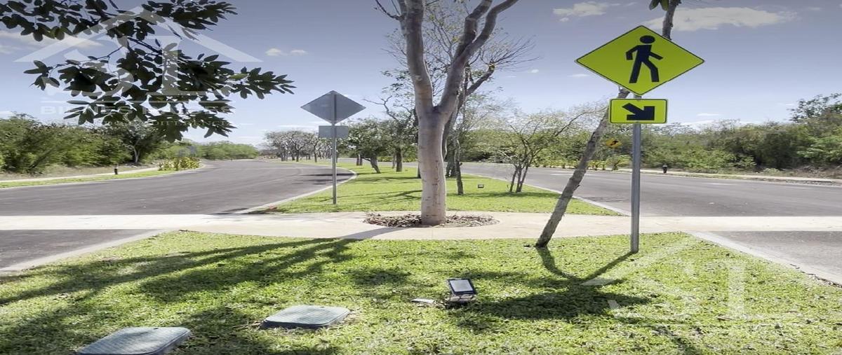Foto de terreno habitacional en venta en  , tamanché, mérida, yucatán, 0 No. 04