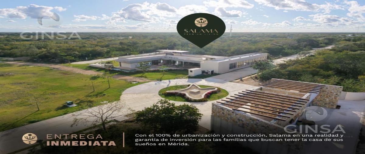 Foto de terreno habitacional en venta en  , tamanché, mérida, yucatán, 0 No. 03