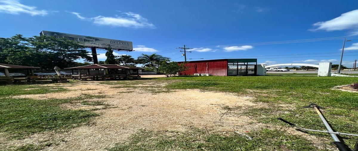 Foto de local en , tamanché, mérida, yucatán, 31426626 foto 02 Foto de local en renta en , tamanché, mérida, yucatán, 31426626 No. 02