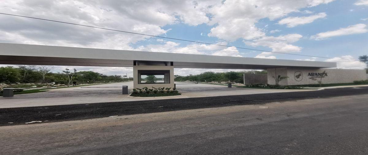 Foto de terreno habitacional en venta en  , tamanché, mérida, yucatán, 0 No. 03