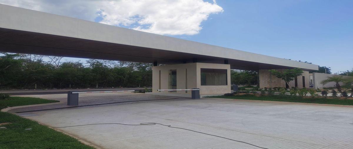 Foto de terreno habitacional en venta en  , tamanché, mérida, yucatán, 0 No. 04