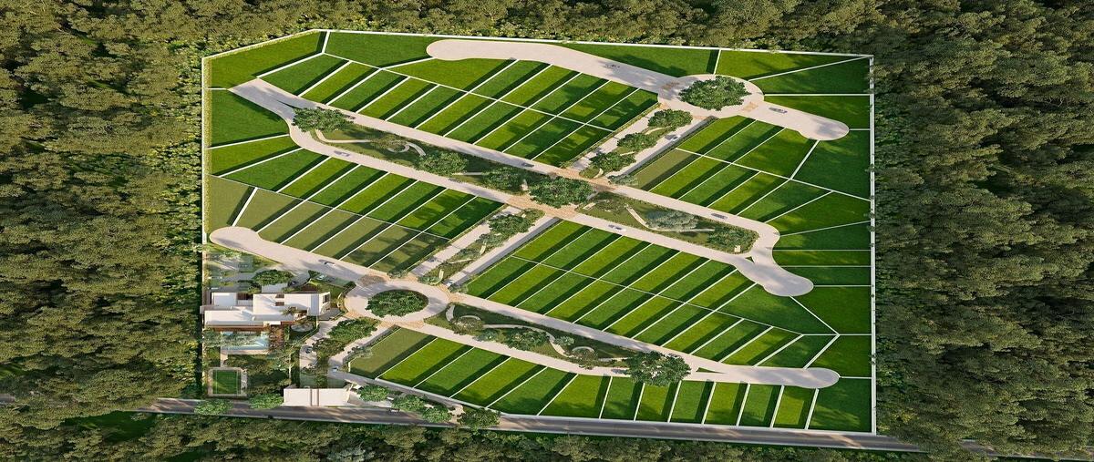 Foto de terreno habitacional en venta en tamanche , tamanché, mérida, yucatán, 0 No. 03