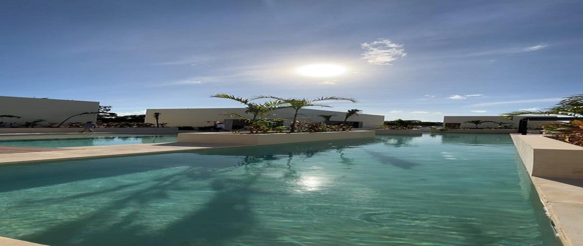 Foto de terreno habitacional en venta en tamanché , tamanché, mérida, yucatán, 0 No. 05