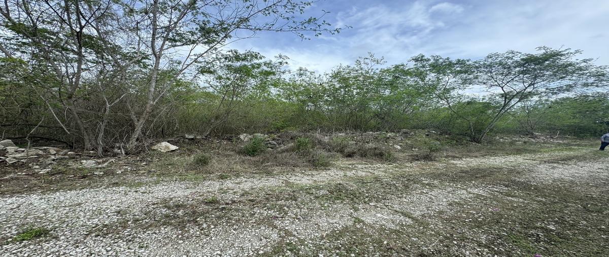 Foto de terreno habitacional en venta en tamanche whi309953, tamanché, mérida, yucatán, 0 No. 04