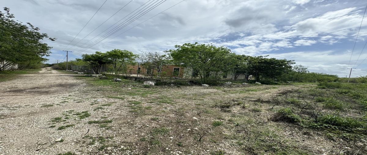 Foto de terreno habitacional en venta en tamanche whi309953, tamanché, mérida, yucatán, 0 No. 05