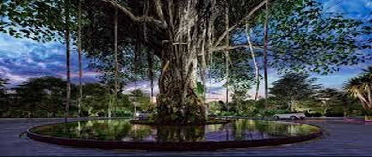 Foto de terreno habitacional en venta en tamanche whi310012, tamanché, mérida, yucatán, 0 No. 05