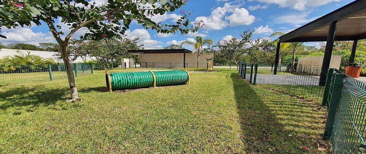 Foto de casa en tamara , dzibilchaltún, mérida, yucatán, 0 foto 07 Foto de casa en venta en tamara , dzibilchaltún, mérida, yucatán, 0 No. 07