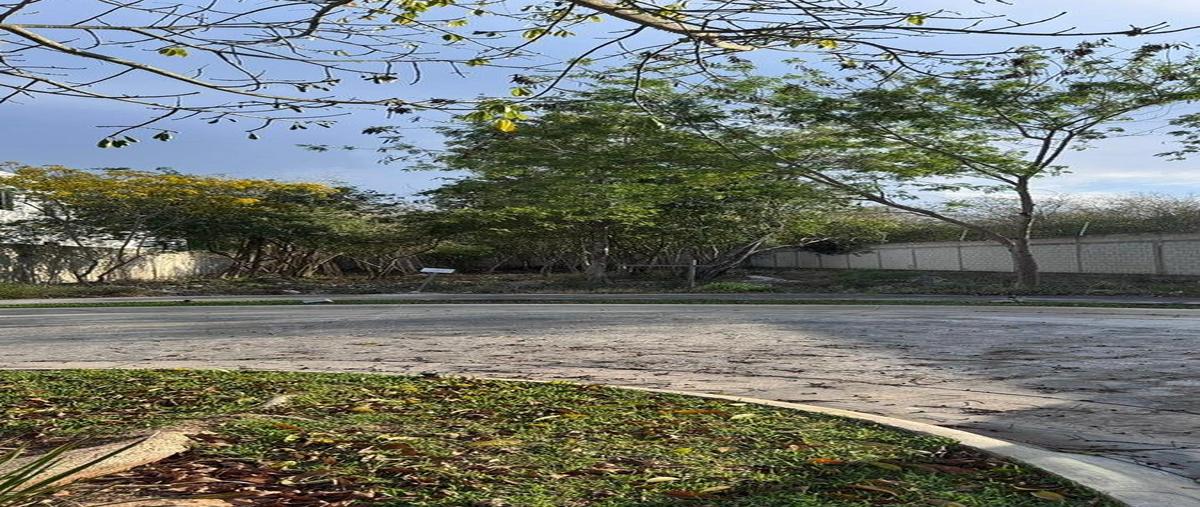 Foto de terreno habitacional en tamara residencial , dzibilchaltún, mérida, yucatán, 30851616 foto 04 Foto de terreno habitacional en venta en tamara residencial , dzibilchaltún, mérida, yucatán, 30851616 No. 04