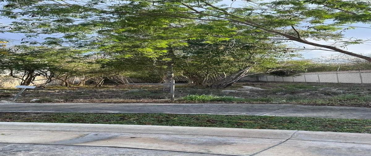 Foto de terreno habitacional en tamara residencial , dzibilchaltún, mérida, yucatán, 30851616 foto 05 Foto de terreno habitacional en venta en tamara residencial , dzibilchaltún, mérida, yucatán, 30851616 No. 05