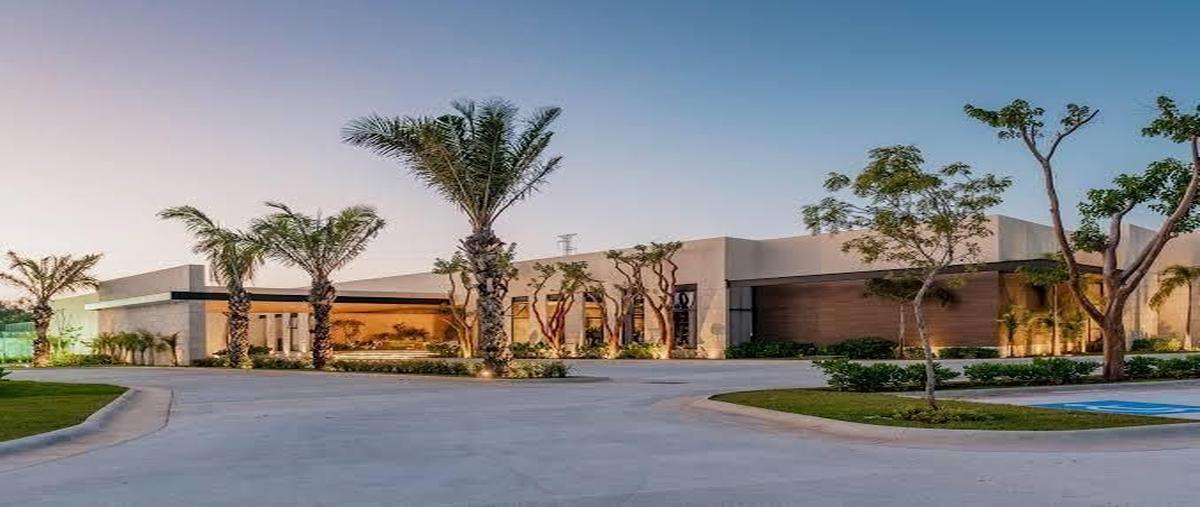 Foto de terreno habitacional en venta en tamara , tamanché, mérida, yucatán, 28745590 No. 05