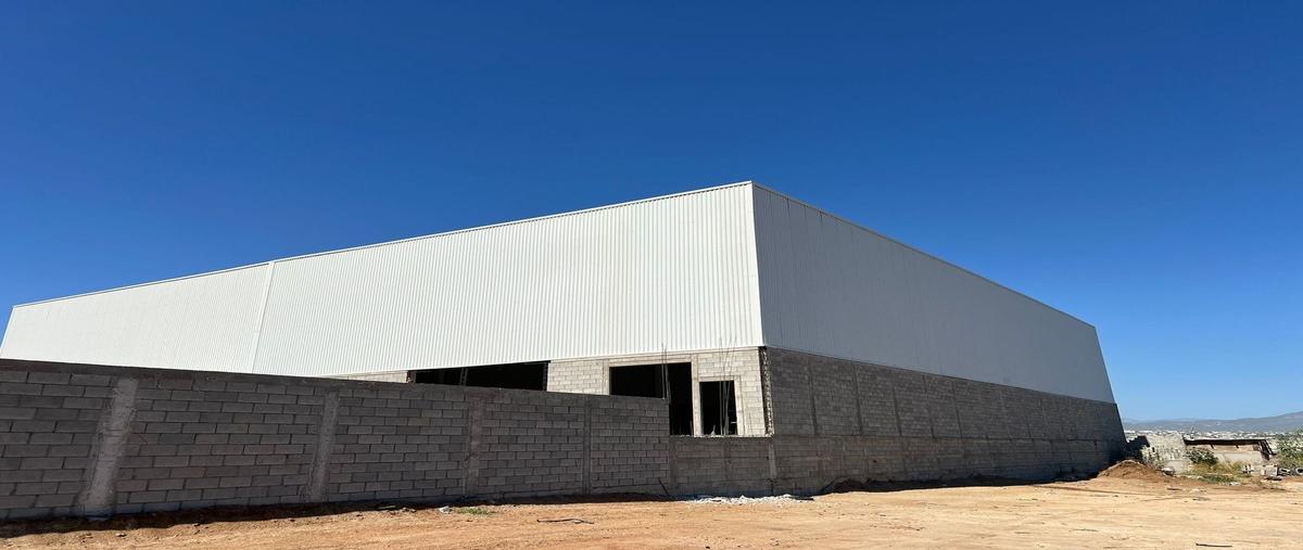 Foto de bodega en tamaral , lomas del pacifico, los cabos, baja california sur, 28843829 foto 04 Foto de bodega en renta en tamaral , lomas del pacifico, los cabos, baja california sur, 28843829 No. 04