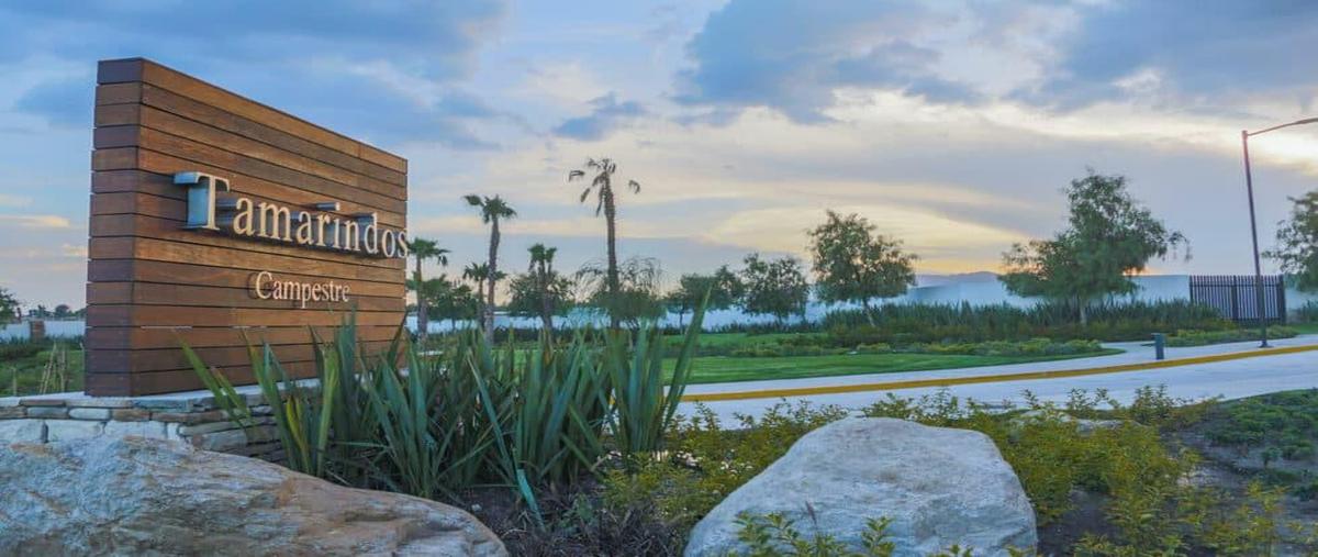 Foto de casa en venta en  , tamarindos, aguascalientes, aguascalientes, 0 No. 04