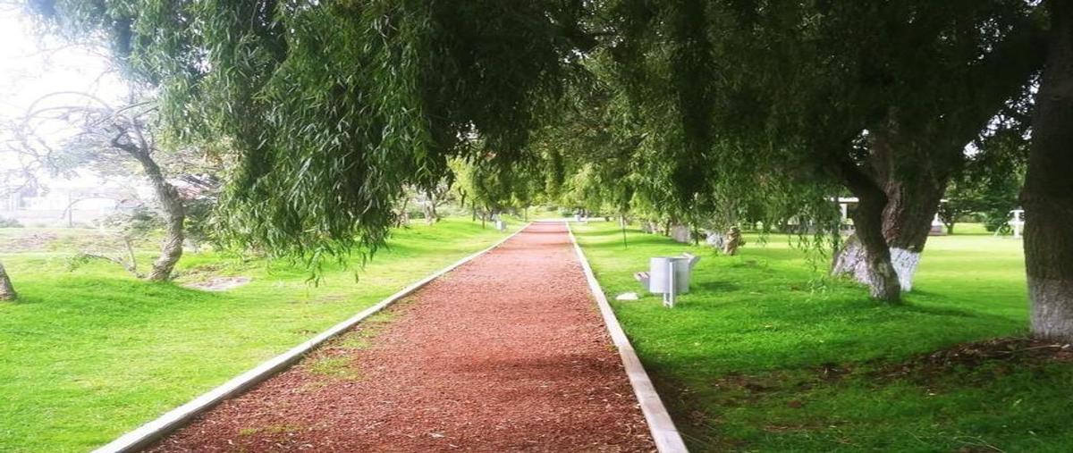 Foto de casa en renta en tamarindos , hacienda de las fuentes, calimaya, méxico, 25256152 No. 03
