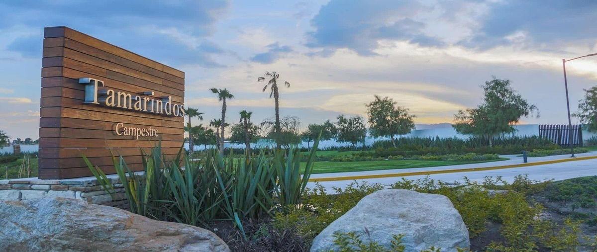 Foto de casa en venta en tamarindos , los pocitos, aguascalientes, aguascalientes, 27903023 No. 03