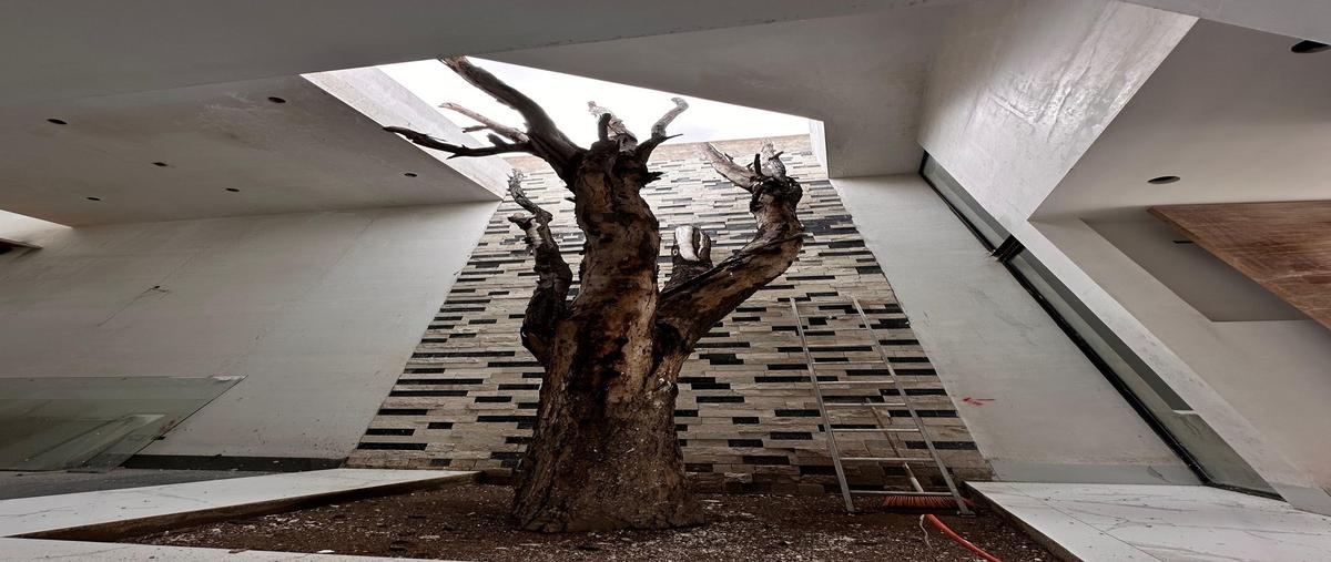 Foto de casa en venta en tamarindos , tamarindos, aguascalientes, aguascalientes, 28417862 No. 05